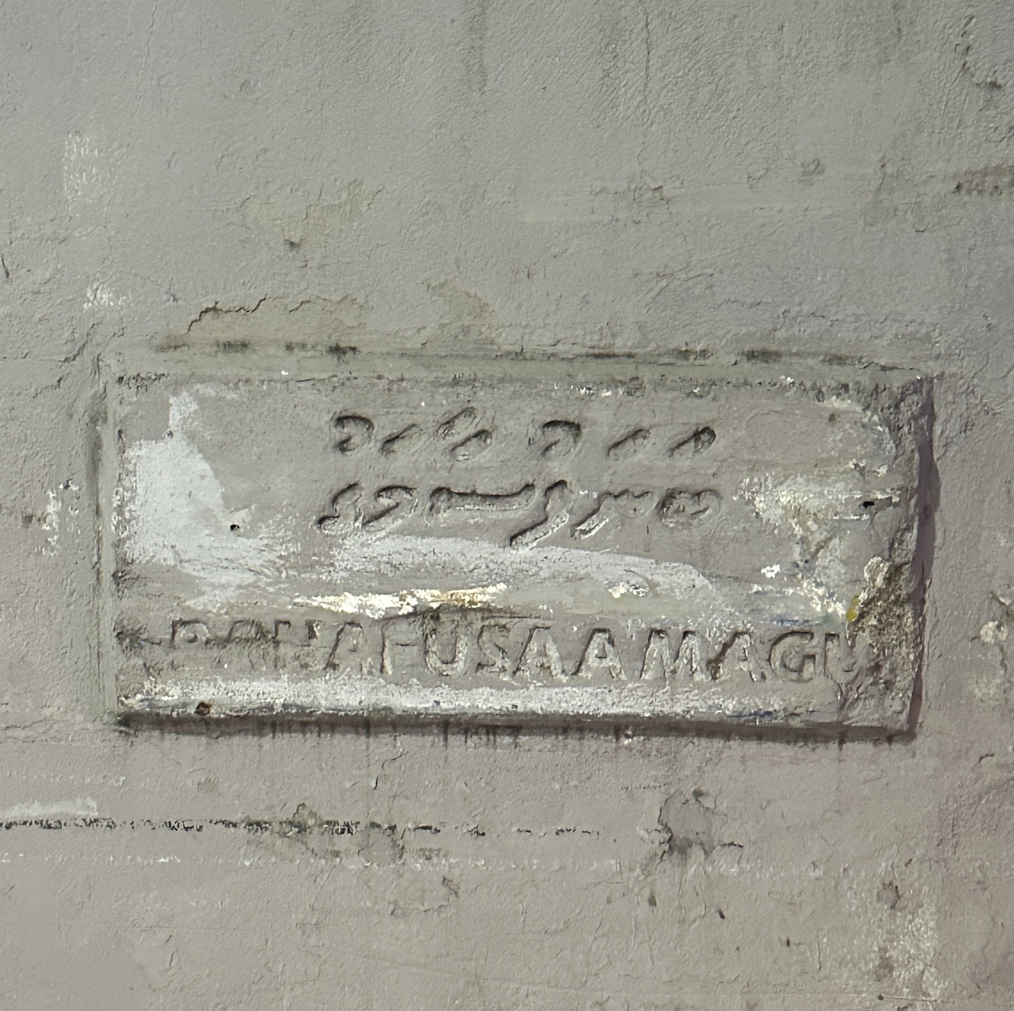 Banafusaa Magu