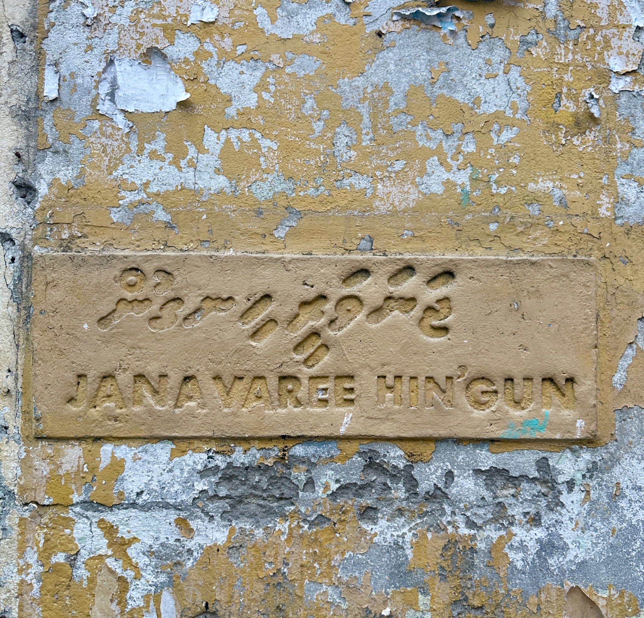 Janavaree Hingun