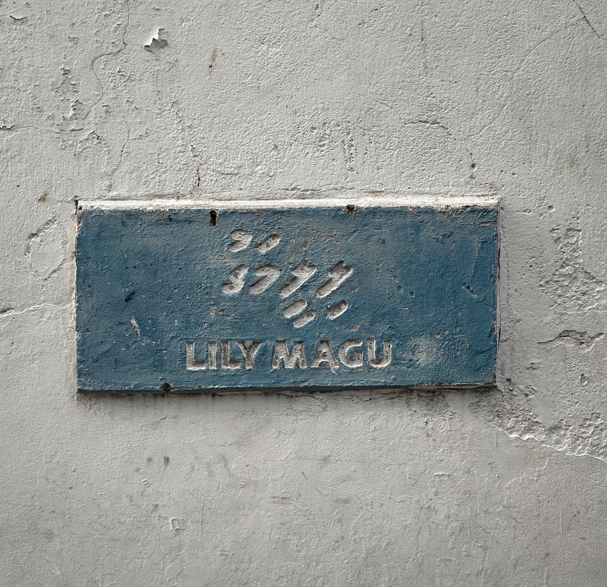 Lily Magu